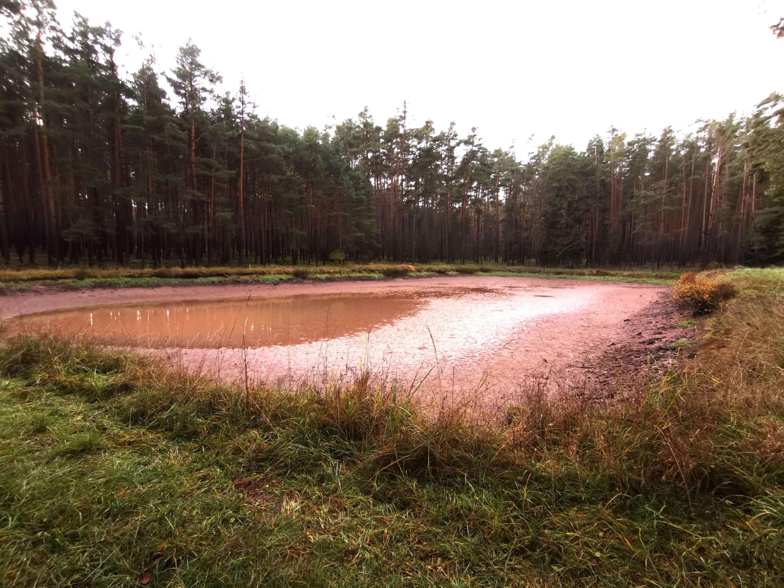 Ca. 2800 m² großer Fischweiher auf 5830m² großem Grundstück, 90599 Dietenhofen, Grundstück