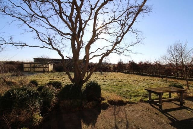 Einfamilienhaus in einzigartiger Naturlage mit Offenstall - Ideal für Pferdehalter - Terrasse