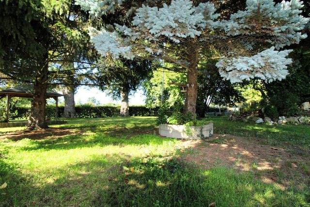 Pension mit drei Pensionszimmern und Betreiberwohnung auf herrlichem Gartengrundstück - Garten